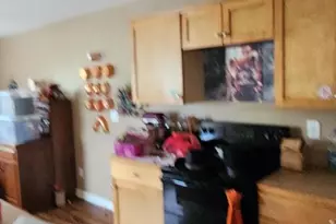19 Virginia Ave, Brunswick, MD 21716 - Photo 23