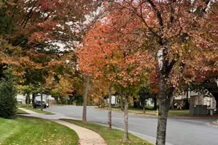 808 Stratford Way, Frederick, MD 21701 - Photo 27
