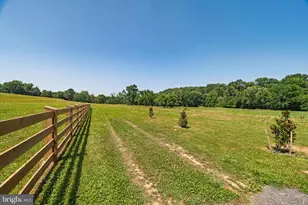 3150 Bidle Rd, Middletown, MD 21769 - Photo 87