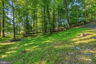 9034 Hamburg Rd, Frederick, MD 21702 - Photo 45