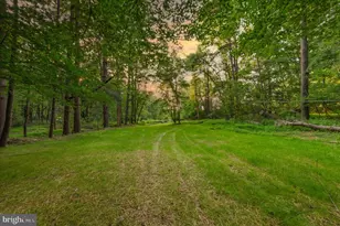 4509 Bill Moxley Rd, Mount Airy, MD 21771 - Photo 51