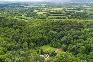 9124 Hawbottom Rd, Middletown, MD 21769 - Photo 59