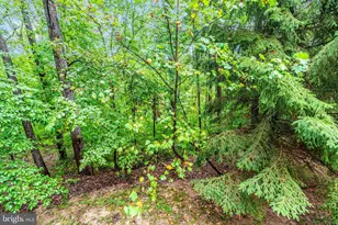 6838 Mountain Church Rd, Middletown, MD 21769 - Photo 49