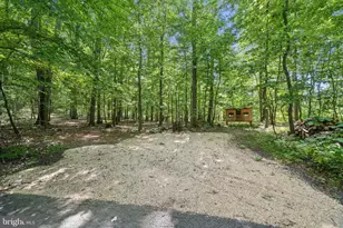 4840 Buffalo Rd, Mount Airy, MD 21771 - Photo 99