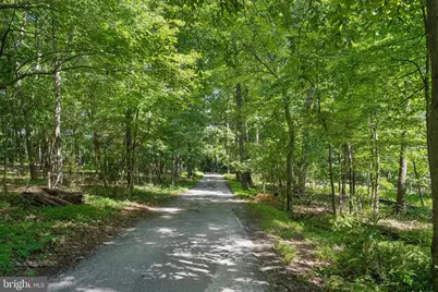 4840 Buffalo Road, Mount Airy, MD 21771 - Photo 105