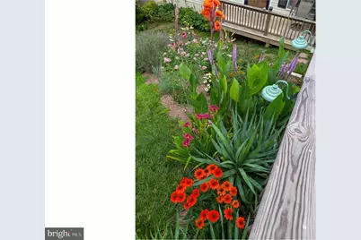 28 E E Street, Brunswick, MD 21716 - Photo 41