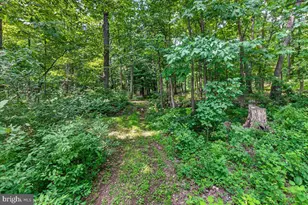 [Address not provided], Emmitsburg, MD 21727 - Photo 85