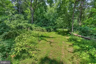 [Address not provided], Emmitsburg, MD 21727 - Photo 77