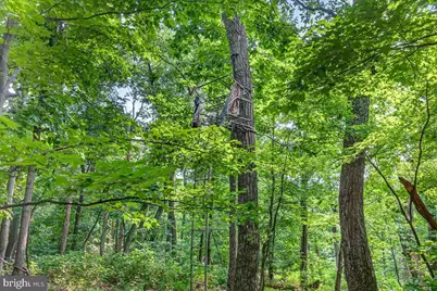[Address not provided], Emmitsburg, MD 21727 - Photo 107