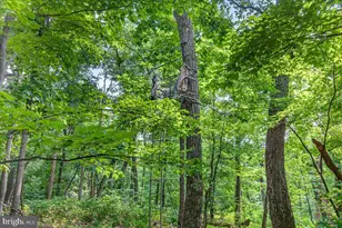 [Address not provided], Emmitsburg, MD 21727 - Photo 107