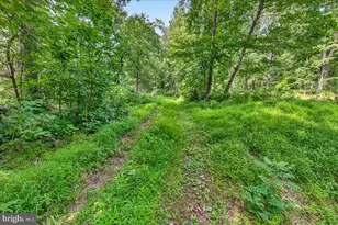 [Address not provided], Emmitsburg, MD 21727 - Photo 87