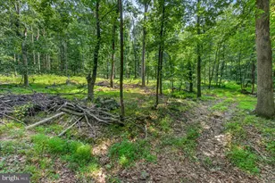 [Address not provided], Emmitsburg, MD 21727 - Photo 99