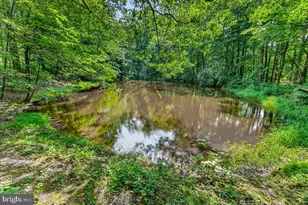 [Address not provided], Emmitsburg, MD 21727 - Photo 97