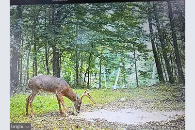 [Address not provided], Emmitsburg, MD 21727 - Photo 129