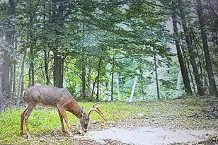 [Address not provided], Emmitsburg, MD 21727 - Photo 129