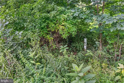 [Address not provided], Emmitsburg, MD 21727 - Photo 117