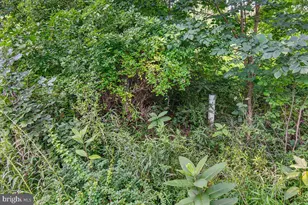 [Address not provided], Emmitsburg, MD 21727 - Photo 117