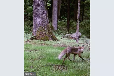 [Address not provided], Emmitsburg, MD 21727 - Photo 141