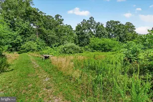 [Address not provided], Emmitsburg, MD 21727 - Photo 45