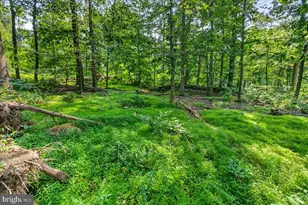 [Address not provided], Emmitsburg, MD 21727 - Photo 91