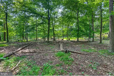 [Address not provided], Emmitsburg, MD 21727 - Photo 109