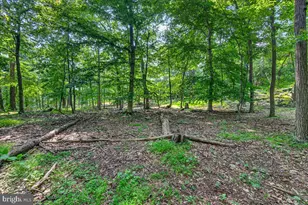 [Address not provided], Emmitsburg, MD 21727 - Photo 109