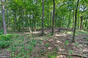 [Address not provided], Emmitsburg, MD 21727 - Photo 105