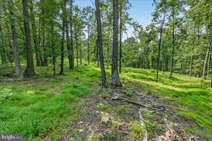 [Address not provided], Emmitsburg, MD 21727 - Photo 101
