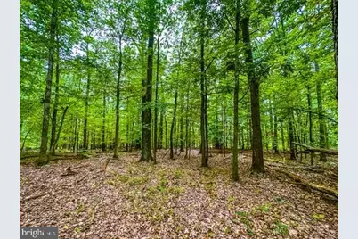 Rum Springs Road, Myersville, MD 21773 - Photo 7