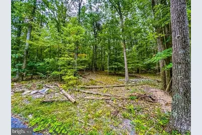 Rum Springs Road, Myersville, MD 21773 - Photo 5