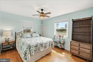 902 Pine Ave, Frederick, MD 21701 - Photo 13