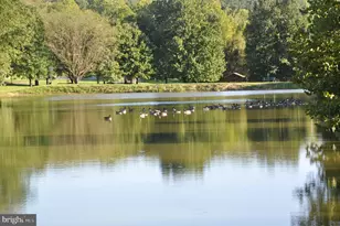 409 Copper Oaks Pl, Woodsboro, MD 21798 - Photo 43