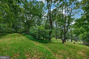 4513 Timbery Dr, Jefferson, MD 21755 - Photo 71