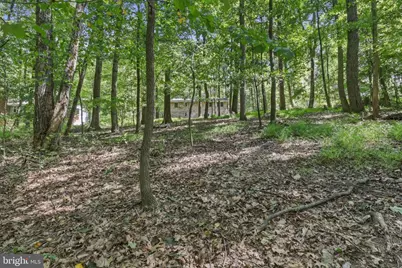 4404 Buffalo Road, Mount Airy, MD 21771 - Photo 17