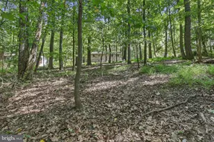 4404 Buffalo Rd, Mount Airy, MD 21771 - Photo 17