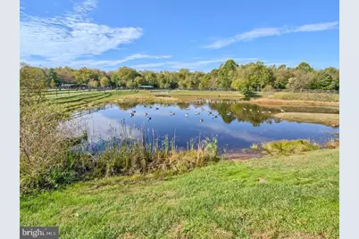 6506 F Wiltshire Drive #203, Frederick, MD 21703 - Photo 3