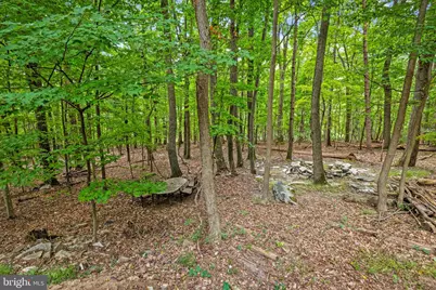 7407 Baltimore National Pike, Frederick, MD 21702 - Photo 41