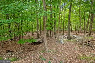 7407 Baltimore National Pike, Frederick, MD 21702 - Photo 41
