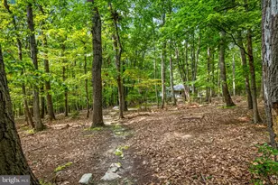 7407 Baltimore National Pike, Frederick, MD 21702 - Photo 47