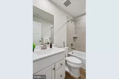 916 Clarendon Farm Lane, Brunswick, MD 21716 - Photo 53