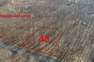 48 Fern Loop, Mc Henry, MD 21541 - Photo 1