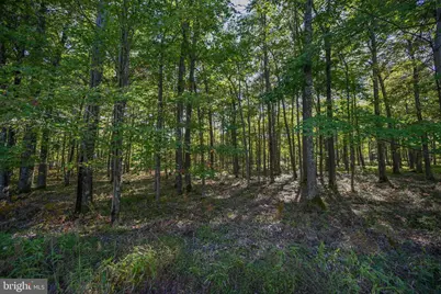 47 Fern Loop Drive, Mc Henry, MD 21541 - Photo 9