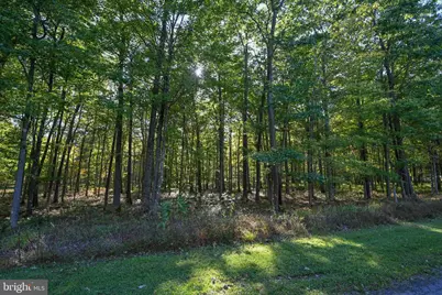 47 Fern Loop Drive, Mc Henry, MD 21541 - Photo 5