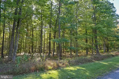 47 Fern Loop Drive, Mc Henry, MD 21541 - Photo 3