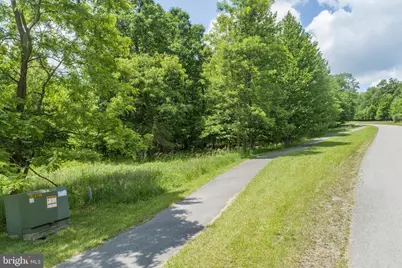 Lot 85 Snowhaven Lane, Mc Henry, MD 21541 - Photo 19