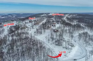 385 N Camp Rd, Mc Henry, MD 21541 - Photo 1