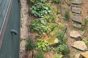 188 Highline Dr, Mc Henry, MD 21541 - Photo 105