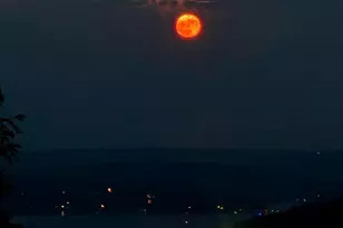 188 Highline Dr, Mc Henry, MD 21541 - Photo 127