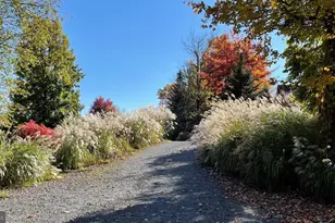 188 Highline Dr, Mc Henry, MD 21541 - Photo 113