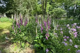 188 Highline Dr, Mc Henry, MD 21541 - Photo 7